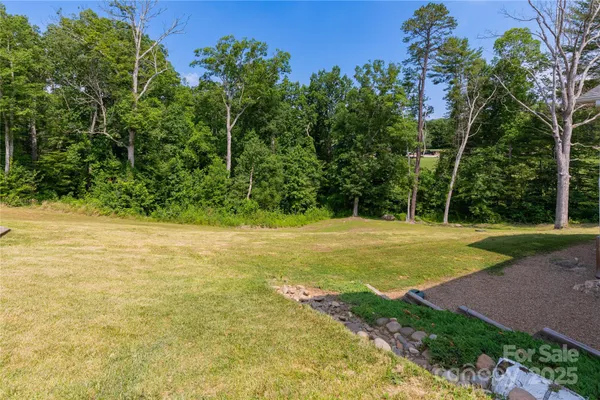 a view of a yard with a tree