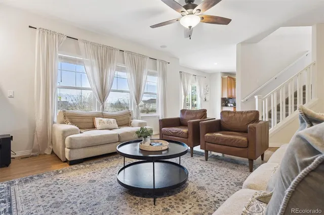 a living room with furniture a rug potted plant and a large window