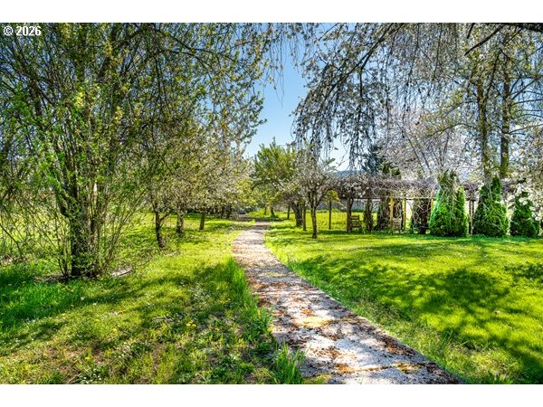 885 66th Street Springfield, OR 97478 - Photo 9 of 28 Backyard