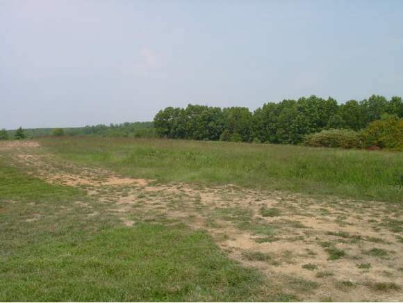 413 State Hwy Branson Highway Reeds Spring, MO 65737 - Photo 1 of 1 Primary Photo