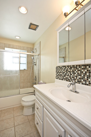 557 Sumac Road Highland Park, IL 60035 - Photo 11 of 20 a bathroom with a sink a toilet and shower