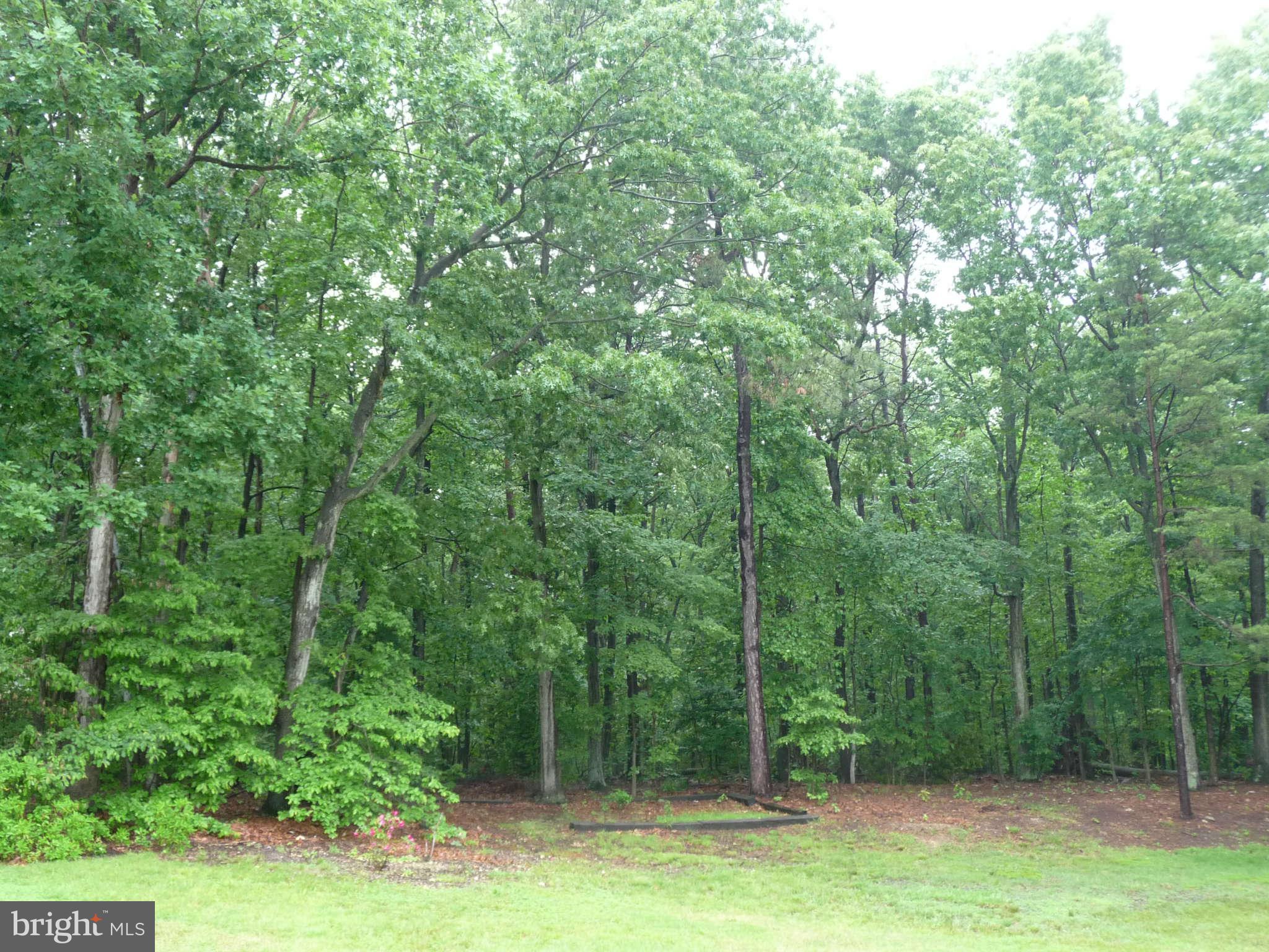 1014 Hanson Road, Unit EXT Joppa, MD 21085 - Photo 4 of 20 Exterior (General)
