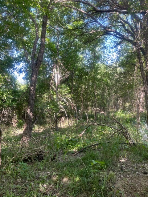 366 Riverside Drive Bastrop, TX 78602 - Photo 9 of 10 Gallery Image 9