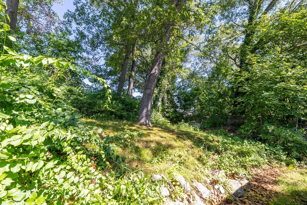 30 MacDonald Street Boston, MA 02136 - Photo 28 of 39