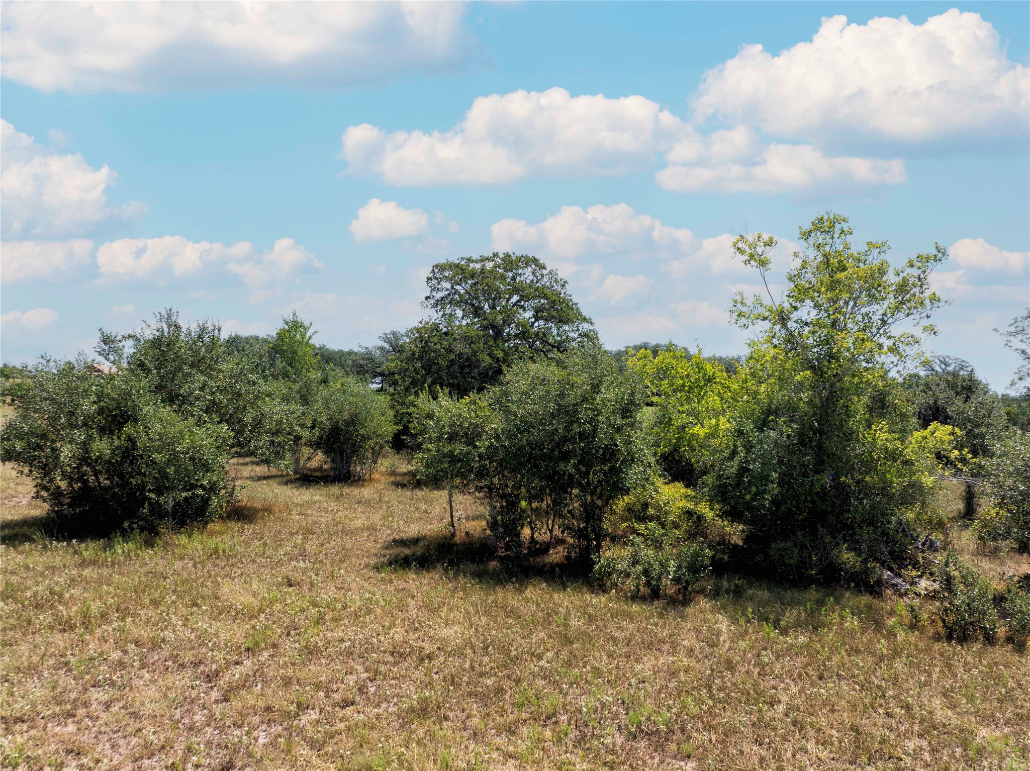 1830 Holub Road Schulenburg, TX 78956 - Photo 24 of 29 Gallery Image 24