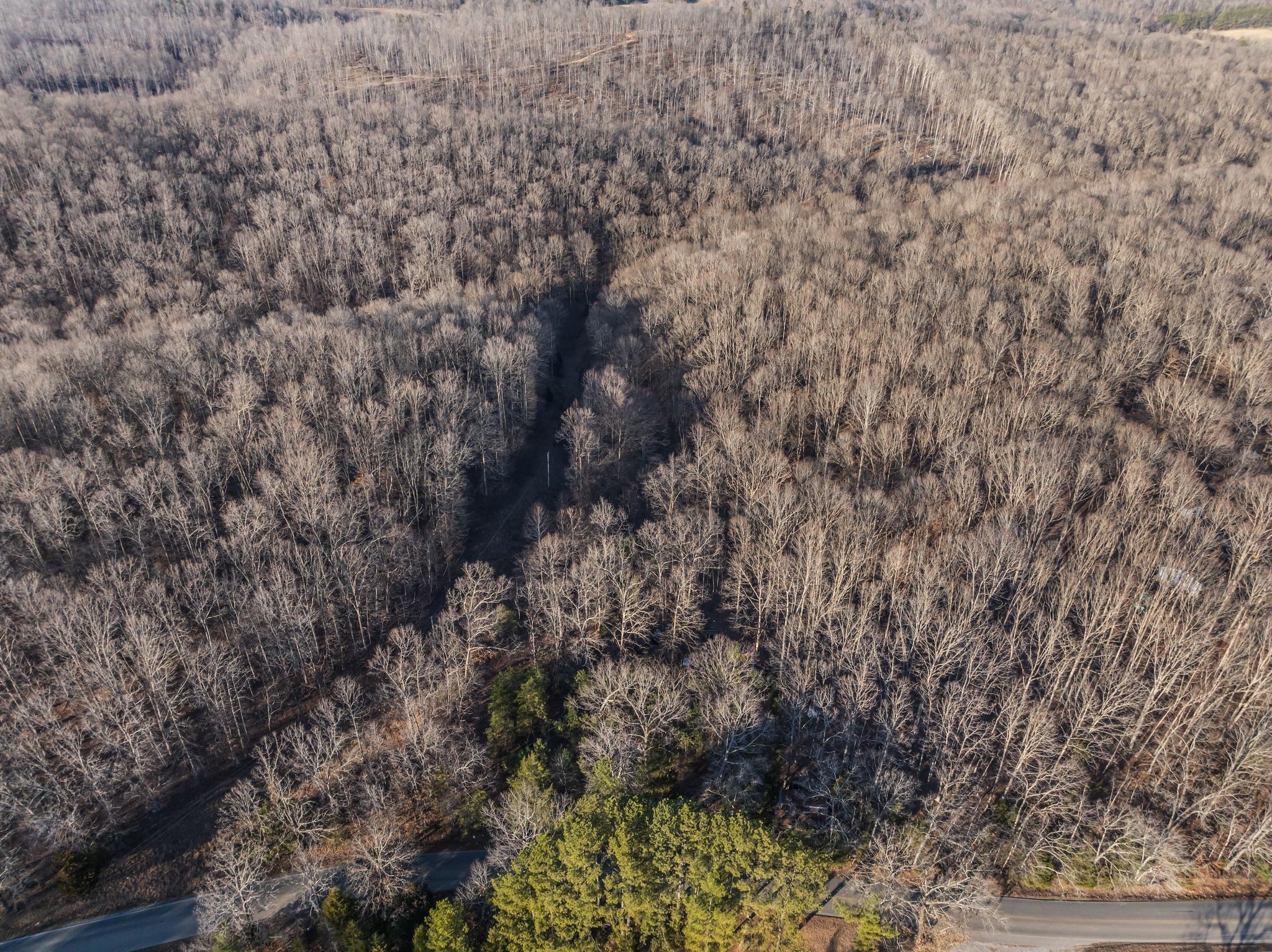 2598 Tower Road Nunnelly, TN 37137 - Photo 12 of 37