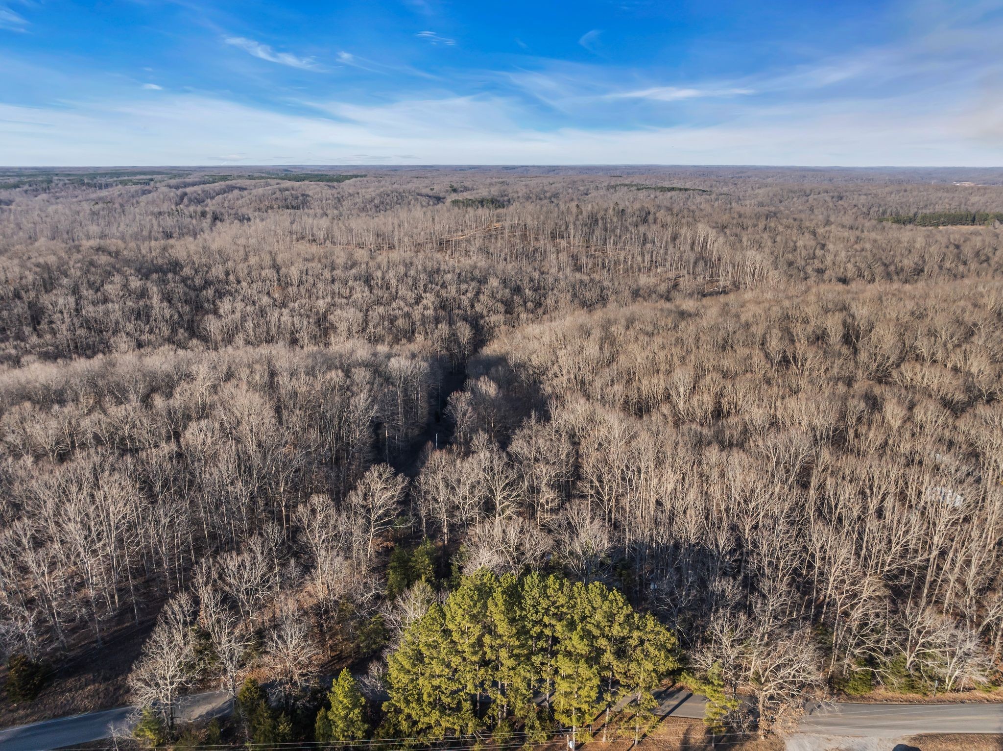 2598 Tower Road Nunnelly, TN 37137 - Photo 13 of 37 a view of a yard