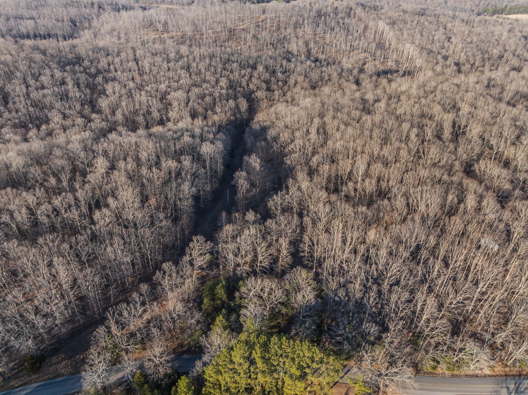 2598 Tower Road Nunnelly, TN 37137 - Photo 14 of 37