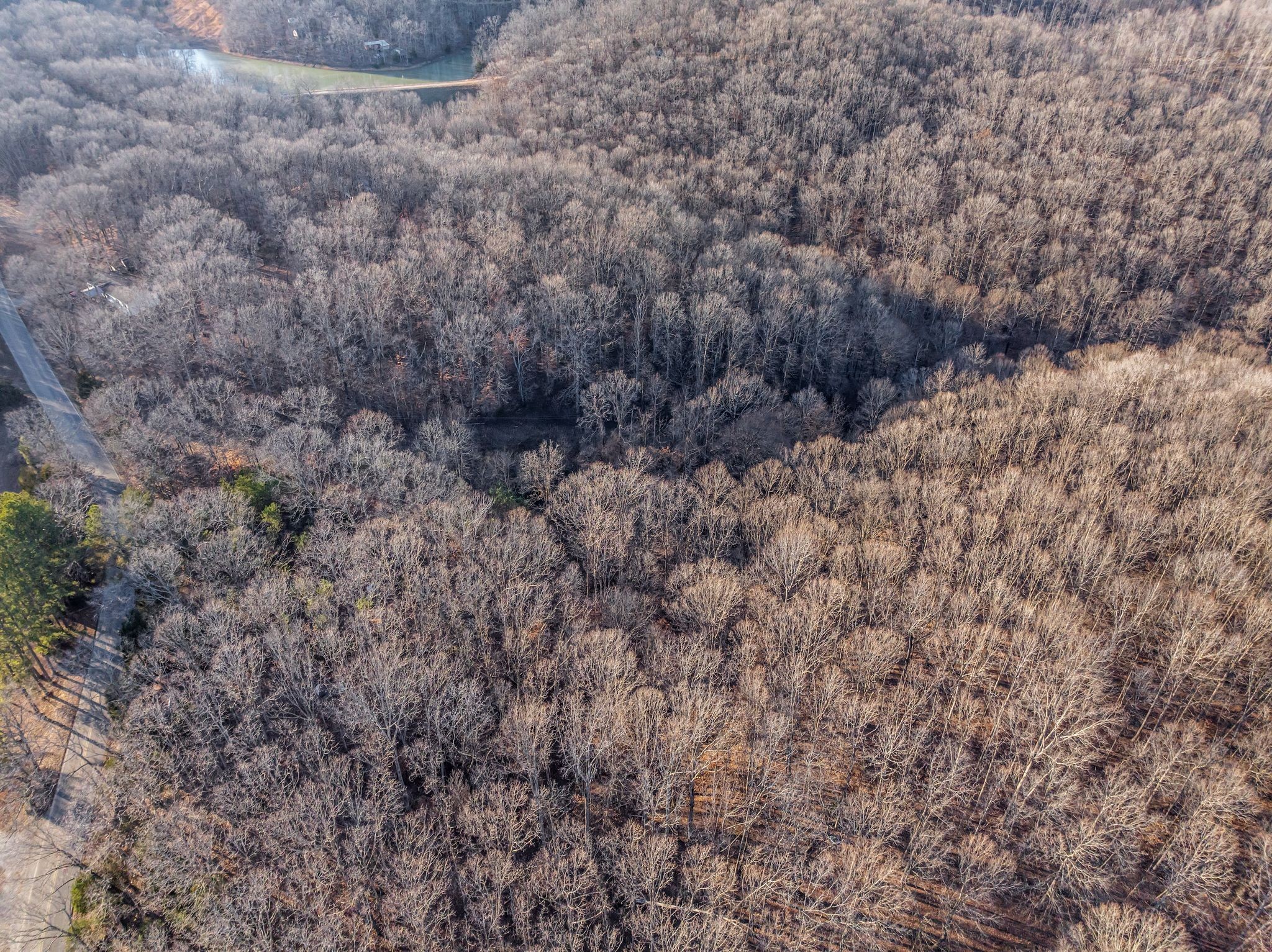 2598 Tower Road Nunnelly, TN 37137 - Photo 15 of 37 a view of a dry field