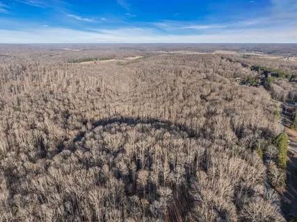 a view of a dry yard