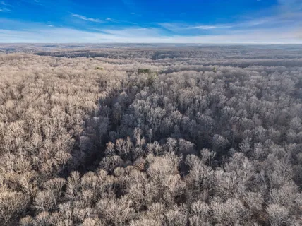 a view of a dry yard with trees