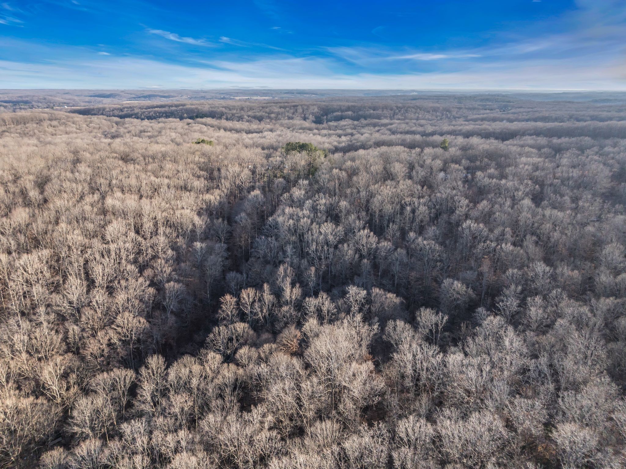 2598 Tower Road Nunnelly, TN 37137 - Photo 19 of 37