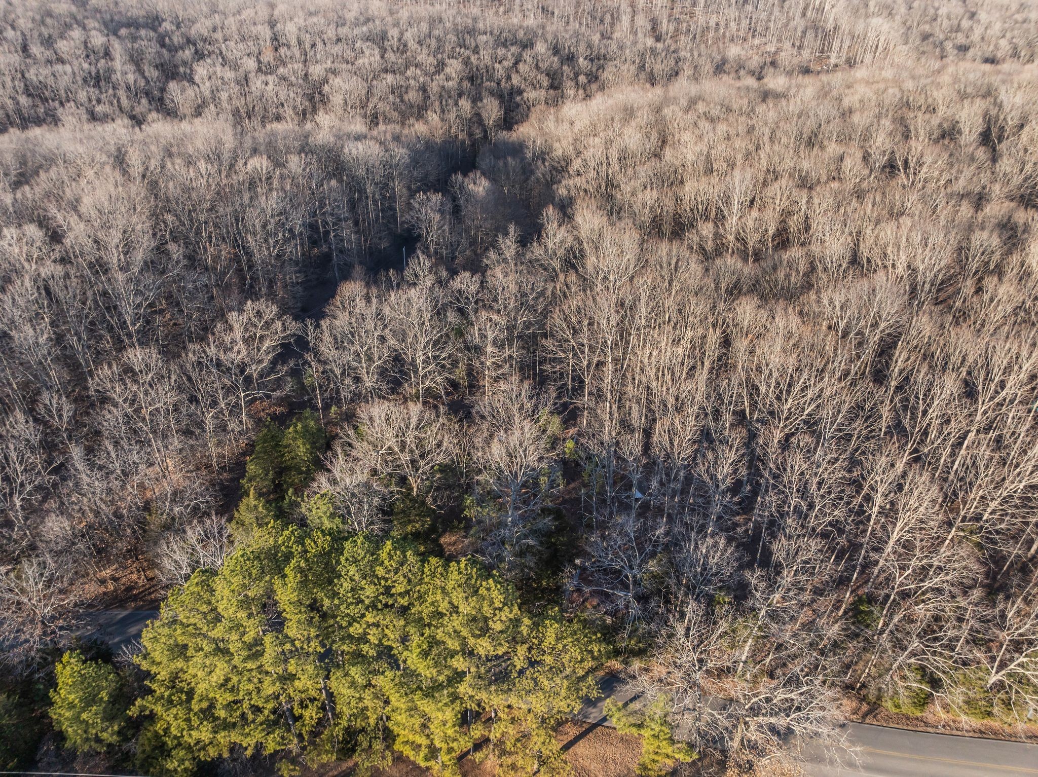 2598 Tower Road Nunnelly, TN 37137 - Photo 20 of 37 a view of a yard