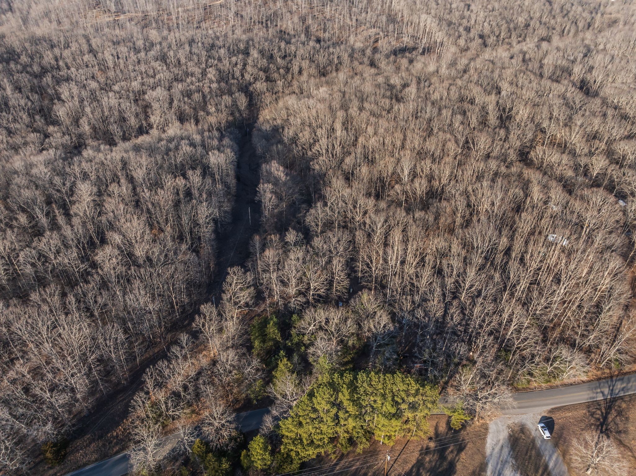 2598 Tower Road Nunnelly, TN 37137 - Photo 2 of 37 a view of a yard