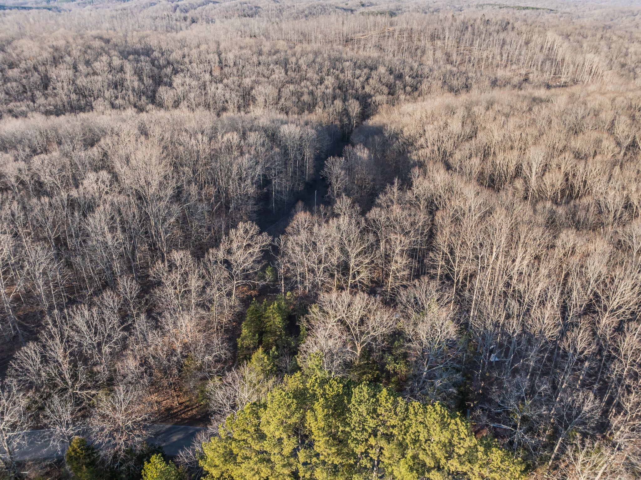 2598 Tower Road Nunnelly, TN 37137 - Photo 23 of 37 a view of a dry yard