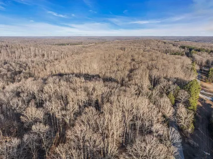 a big yard with lots of green space and trees