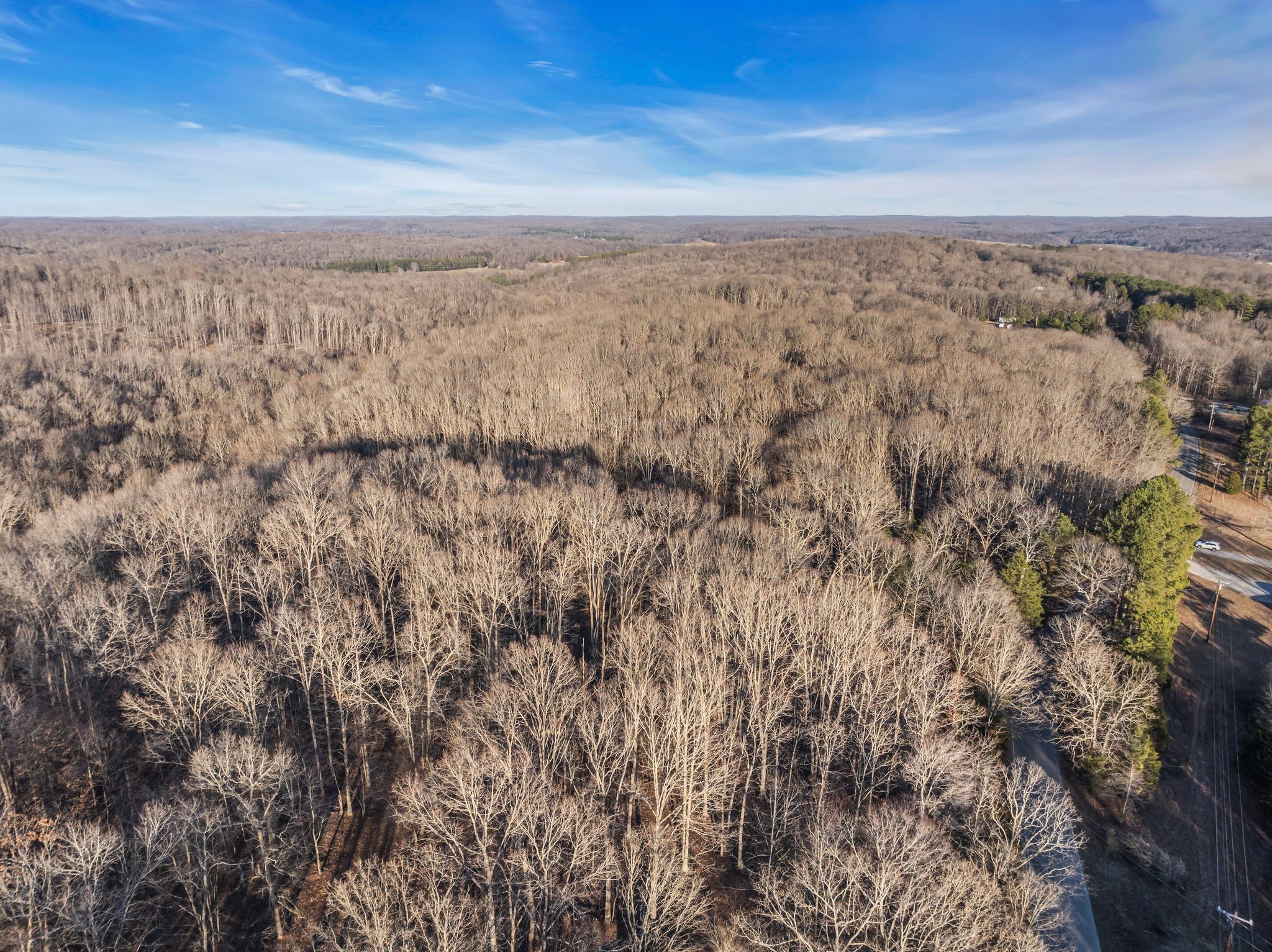 2598 Tower Road Nunnelly, TN 37137 - Photo 25 of 37 a view of a sky