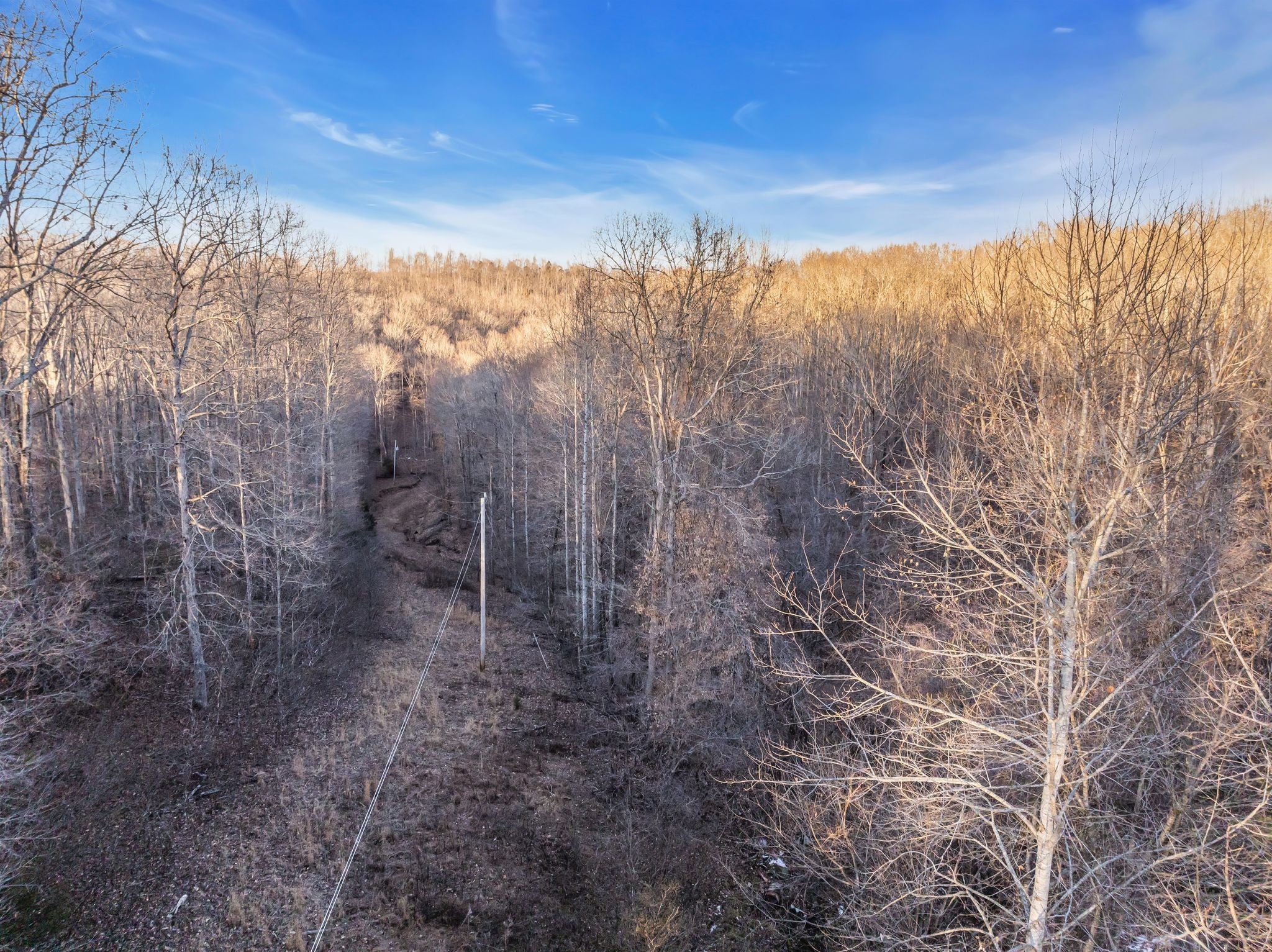 2598 Tower Road Nunnelly, TN 37137 - Photo 27 of 37 a view of a city with lots of trees