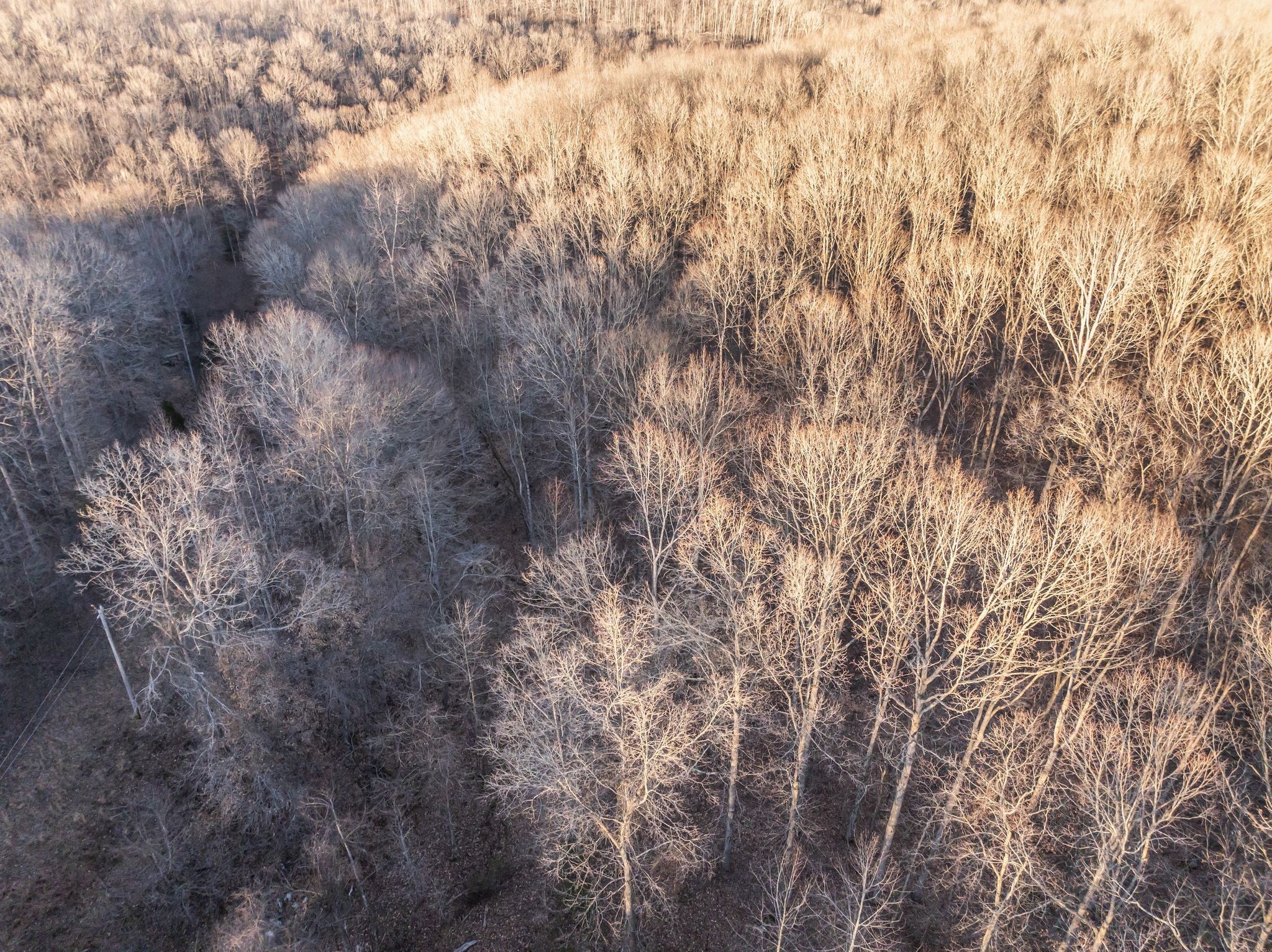 2598 Tower Road Nunnelly, TN 37137 - Photo 28 of 37