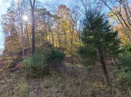 $49,900 | 2598 Tower Road, Nunnelly, TN 37137