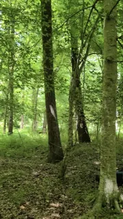 $49,900 | 2598 Tower Road, Nunnelly, TN 37137