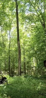 $49,900 | 2598 Tower Road, Nunnelly, TN 37137