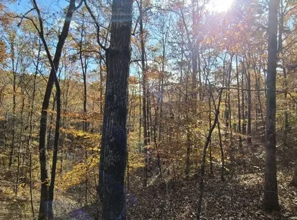 a view of a backyard of the house