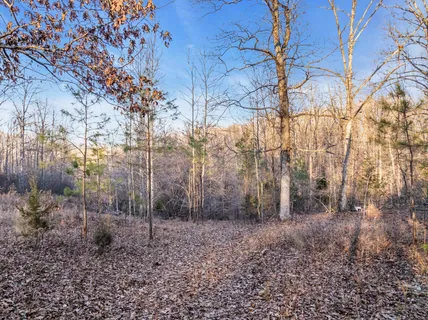 a view of a yard with large trees
