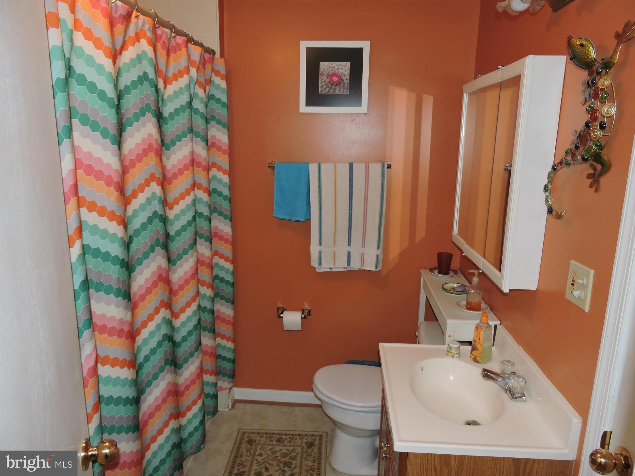 6150 Bicknell Road Indian Head, MD 20640 - Photo 19 of 30 Bath (Master)