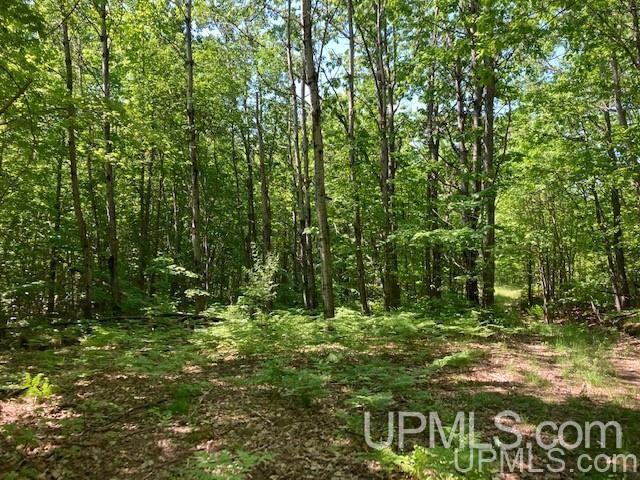 Tbd Worham Road Chassell, MI 49916 - Photo 3 of 45 Gallery Image 3