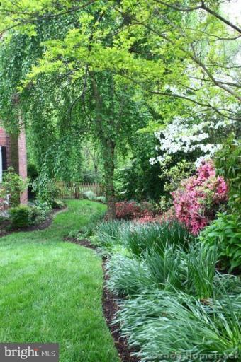213 Tunbridge Road Baltimore, MD 21212 - Photo 20 of 24 a view of a garden with plants and large trees