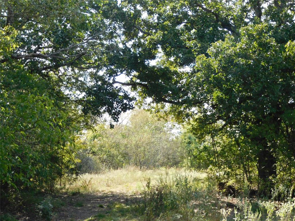 451 Hcr3335 Road Hubbard, TX 76648 - Photo 11 of 20