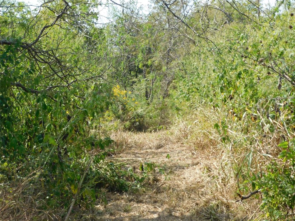 451 Hcr3335 Road Hubbard, TX 76648 - Photo 13 of 20