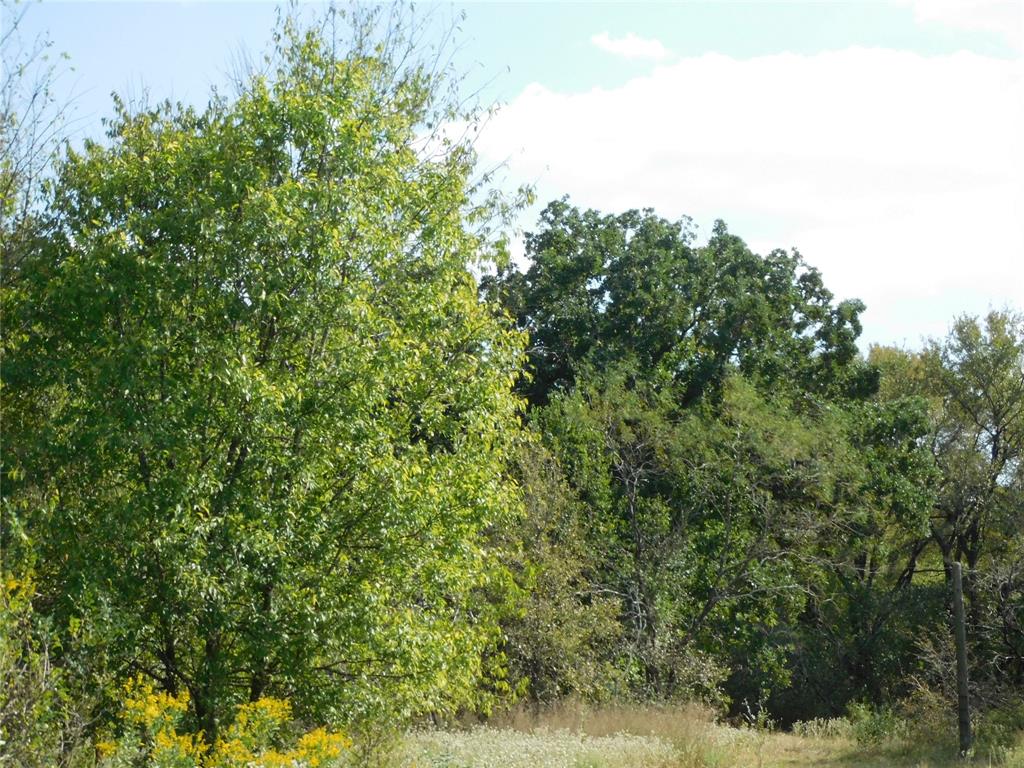 451 Hcr3335 Road Hubbard, TX 76648 - Photo 15 of 20