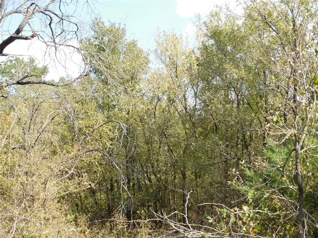 $1,450,000 | 451 Hcr3335 Road, Hubbard, TX 76648