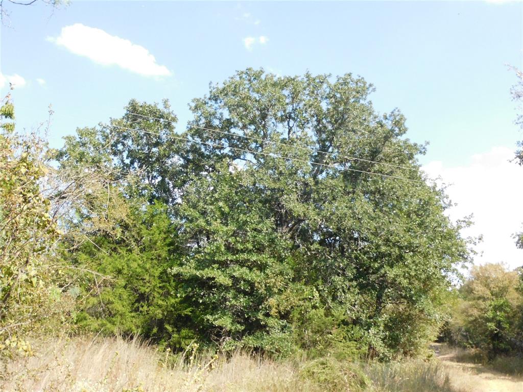 451 Hcr3335 Road Hubbard, TX 76648 - Photo 19 of 20