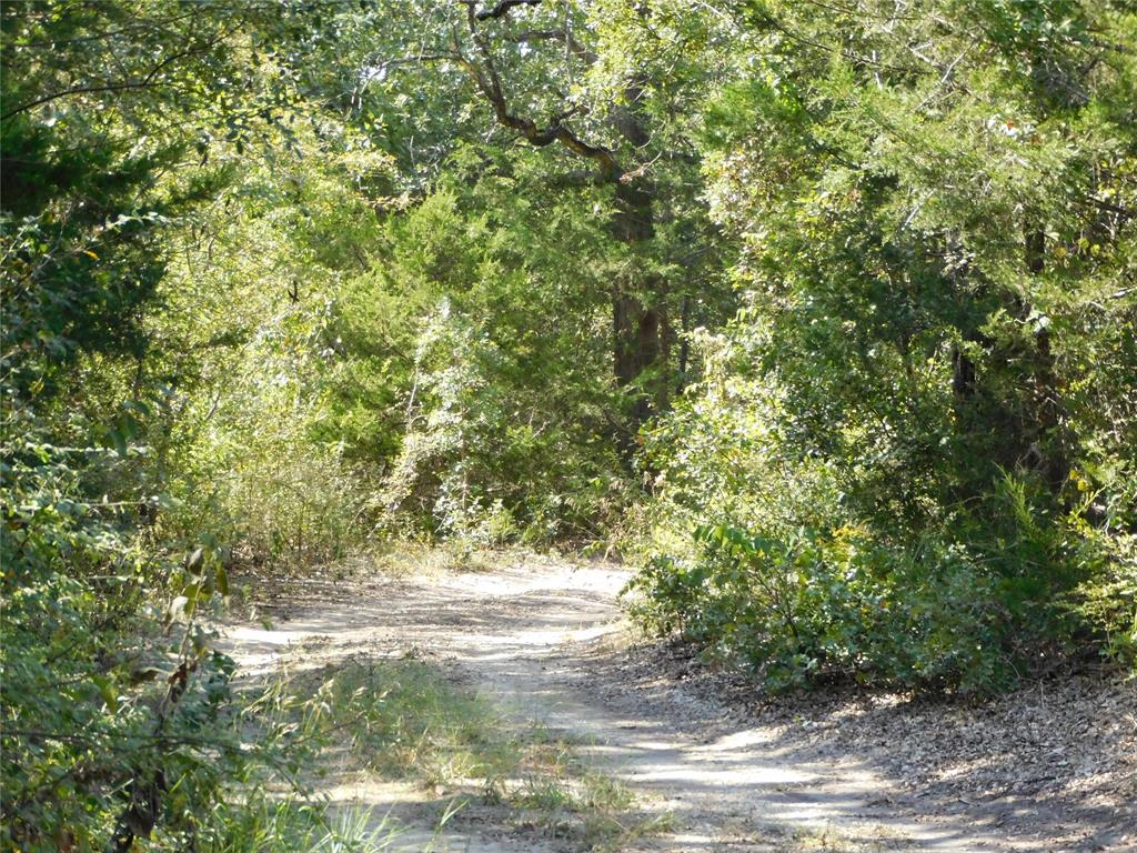 451 Hcr3335 Road Hubbard, TX 76648 - Photo 2 of 20