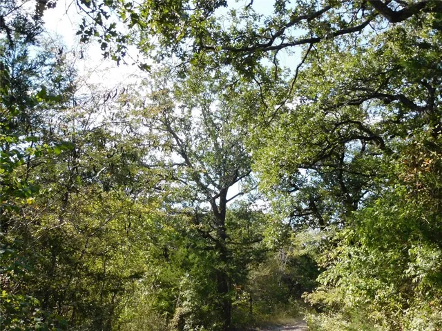 $1,450,000 | 451 Hcr3335 Road, Hubbard, TX 76648