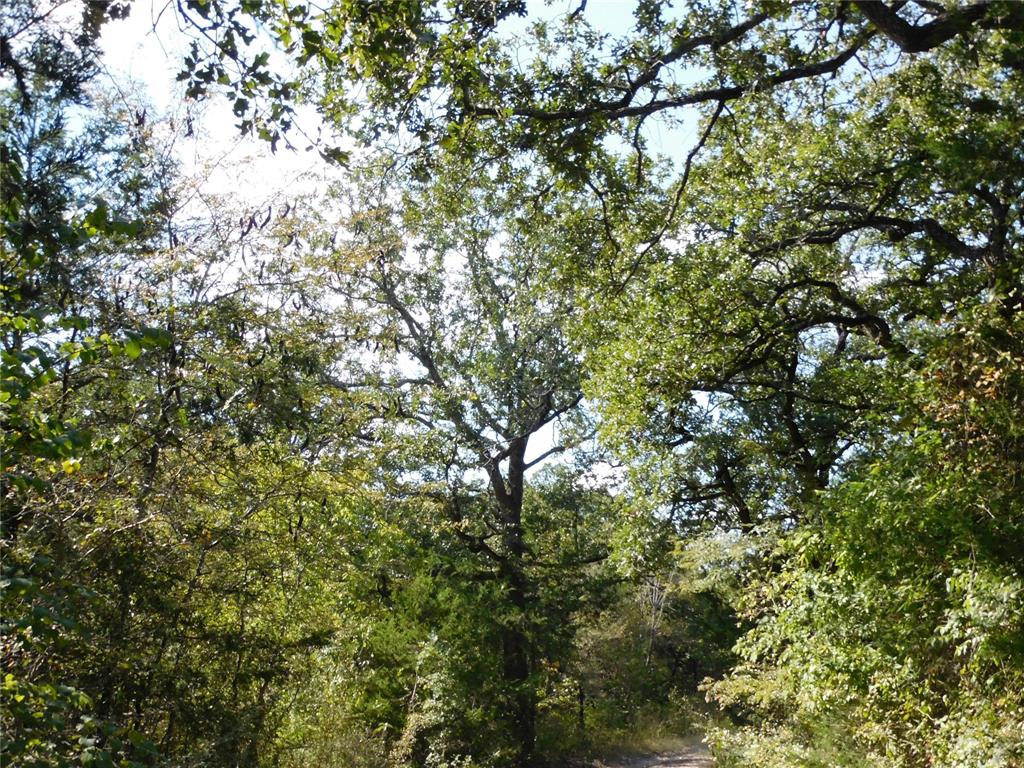 451 Hcr3335 Road Hubbard, TX 76648 - Photo 4 of 20