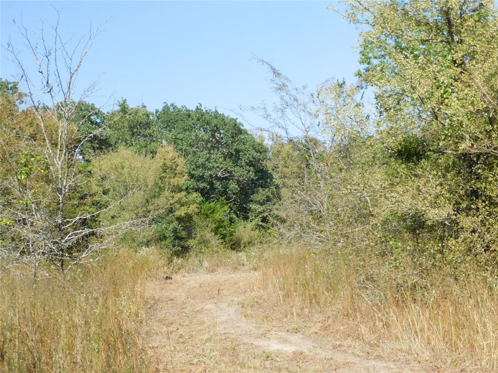 451 Hcr3335 Road Hubbard, TX 76648 - Photo 9 of 20