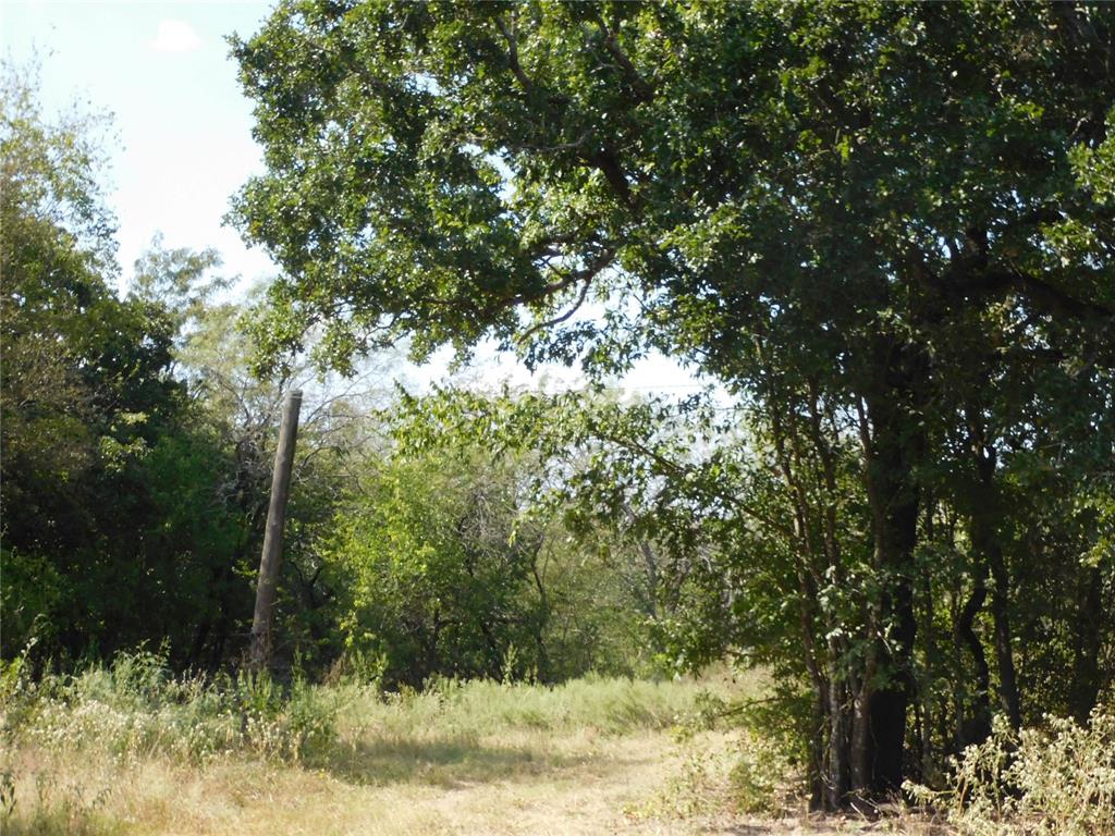 451 Hcr3335 Road Hubbard, TX 76648 - Photo 10 of 20