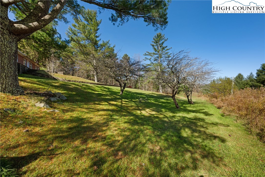986 Ransom Street Blowing Rock, NC 28605 - Photo 14 of 17 a view of field with large trees