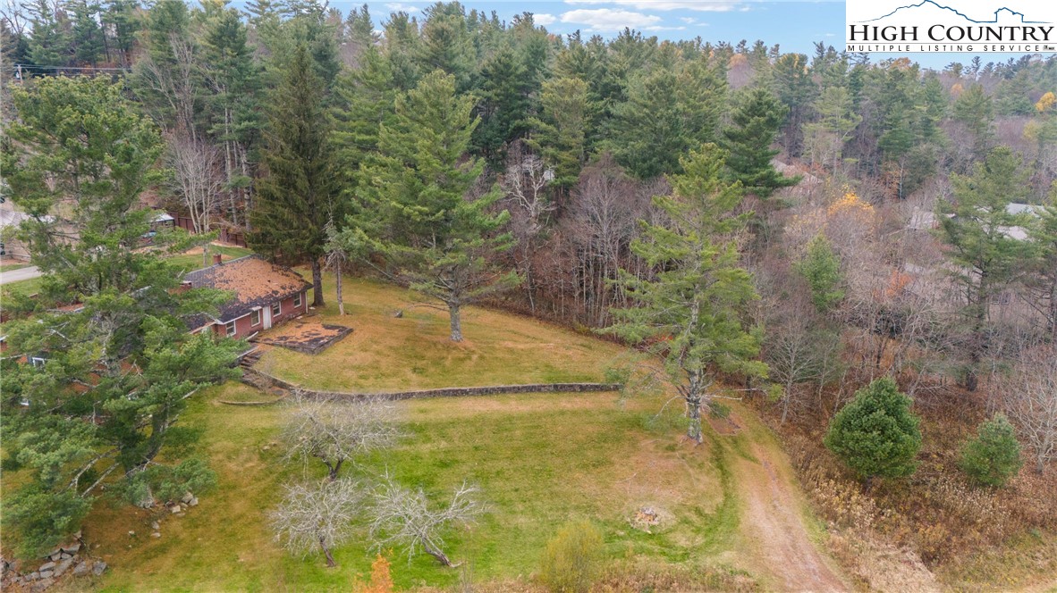 986 Ransom Street Blowing Rock, NC 28605 - Photo 5 of 17 a view of a yard