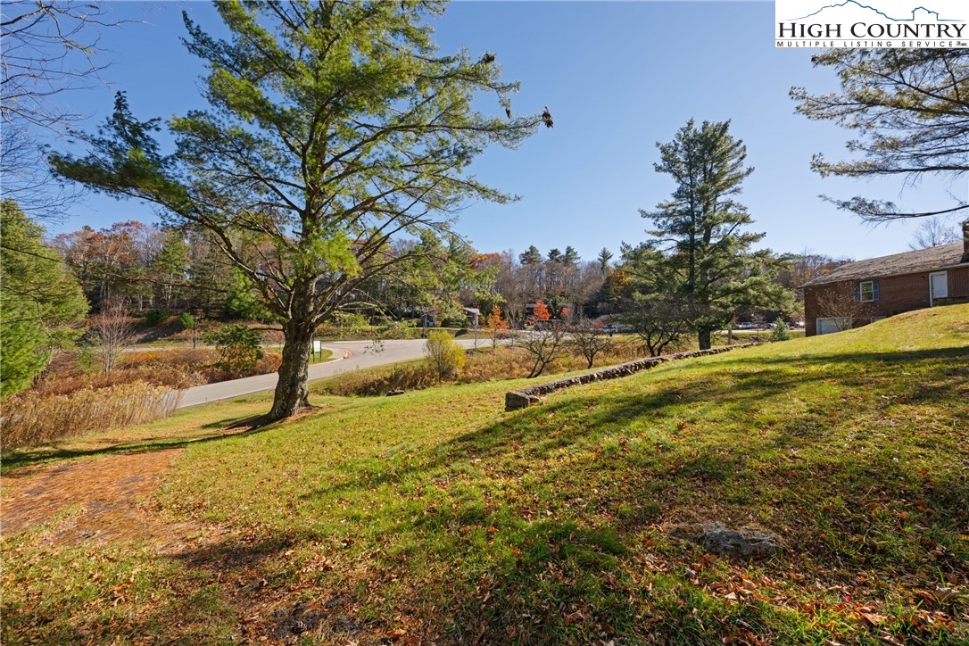 986 Ransom Street Blowing Rock, NC 28605 - Photo 7 of 17 a view of yard with large trees