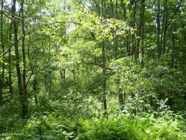 7.6 Humphrey Road Middletown, NY 10940 - Photo 2 of 6