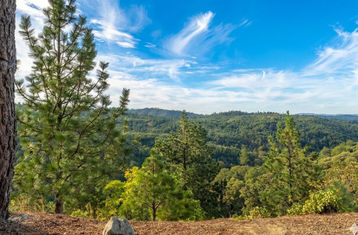 5595 Jasper-Ridge Murphys, CA 95247 - Photo 57 of 96 Feel on top of the world.