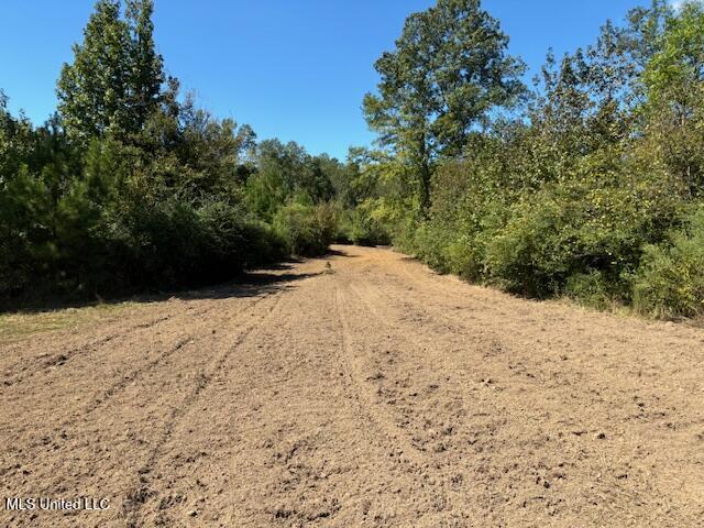 5785 Meadville Road Meadville, MS 39653 - Photo 11 of 60 IMG_0654