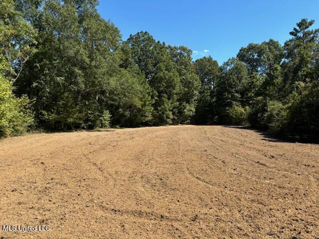 5785 Meadville Road Meadville, MS 39653 - Photo 12 of 60 IMG_0655