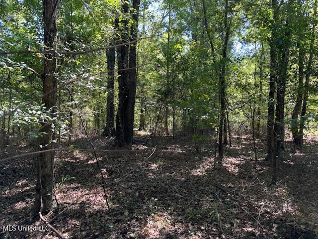 5785 Meadville Road Meadville, MS 39653 - Photo 13 of 60 IMG_0657