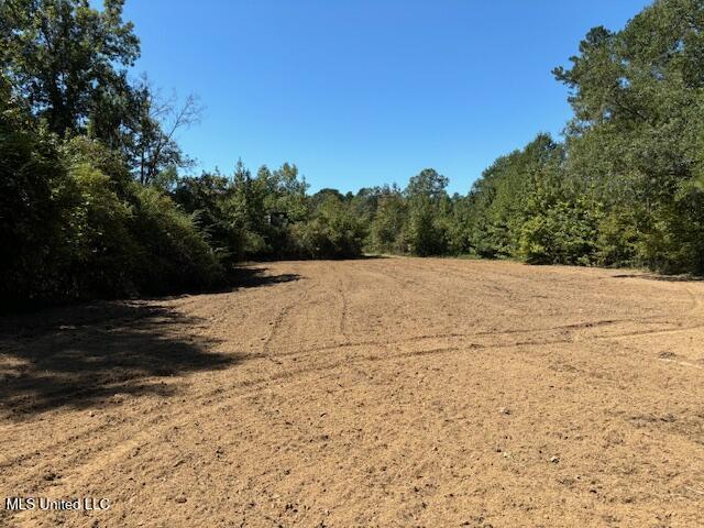 5785 Meadville Road Meadville, MS 39653 - Photo 14 of 60 IMG_0658